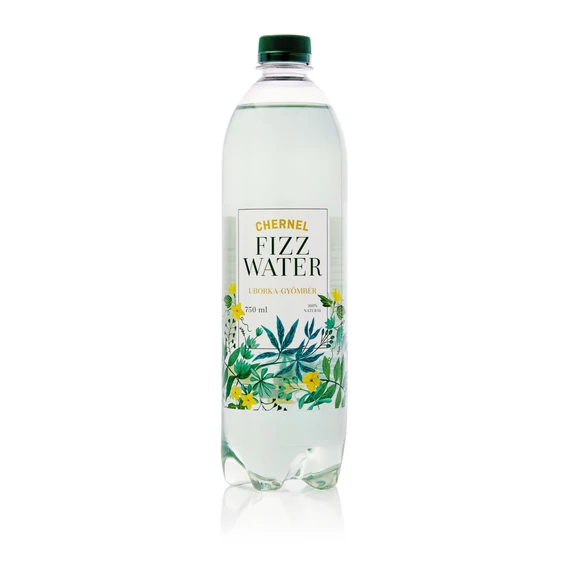 FIZZ WATER uborka-gyömbér 750 ml